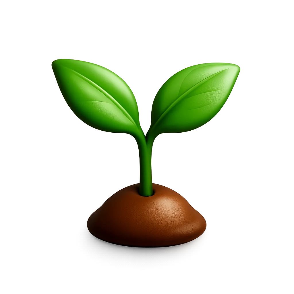 Simple Drip Irrigation for Beginners